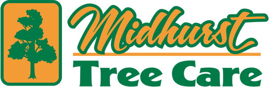 Midhurst Tree Care