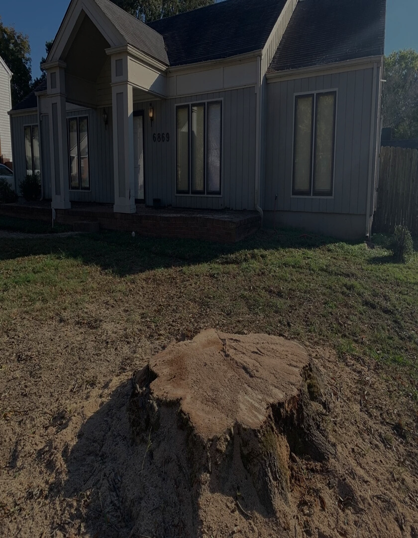 A stump before grinding in Newton, NJ